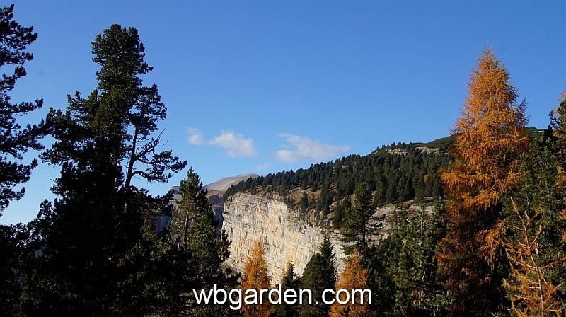 wbgarden alps 134.JPG